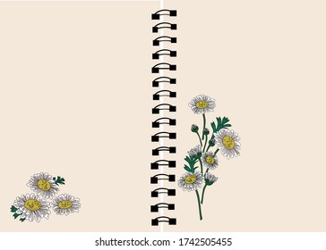 White Daisy flower vector on page notebook with copy space.