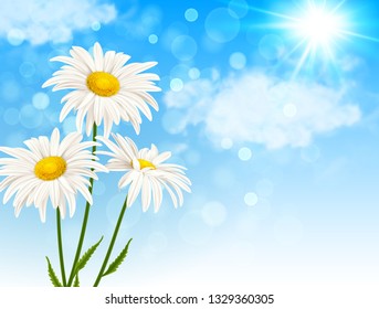White daisy flowers and clouds on a blue sky background. Spring floral background. Vector illustration.