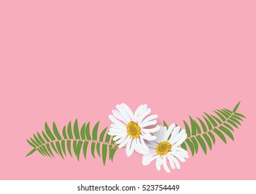 white daisy flowers with fern for frame or background vector illustration