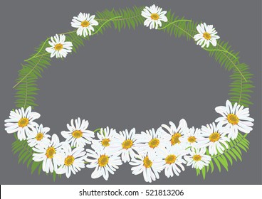 white daisy flowers isolated drawing .vector illustration for frame or wreath
