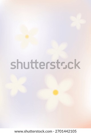 White daisy flowers on soft spring background