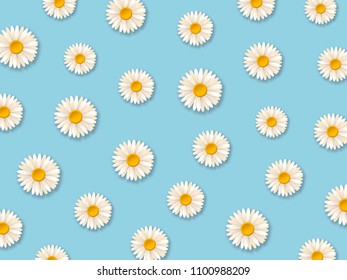 White daisy flowers. Pattern with chamomile flowers on blue background. Vector illustration 