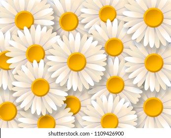 White daisy flowers. Pattern with chamomile flowers. Summer floral background. Vector illustration 