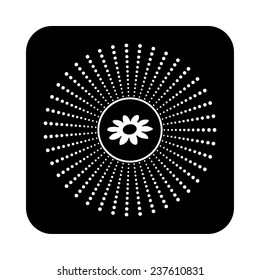 white daisy on a black background, vector