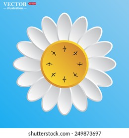White daisy on a blue background. Fashion Icon Aircraft, vector illustration, EPS 10