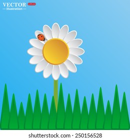 White daisy on a blue background. Ladybird.  vector illustration, EPS 10