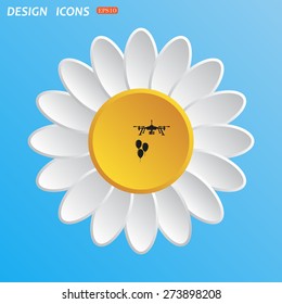 White daisy on a blue background. Flower. Sky.  Aerial photography. Festive balloons. Quadrocopter. icon. vector design