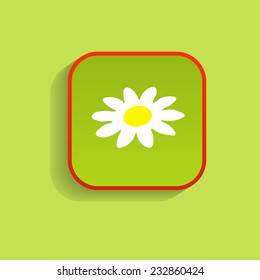 white daisy on a green background