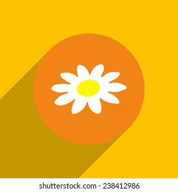 white daisy on an orange background with shadow, vector, EPS 10