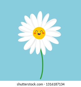 White daisy vector. Cartoon flower  isolated on blue background.