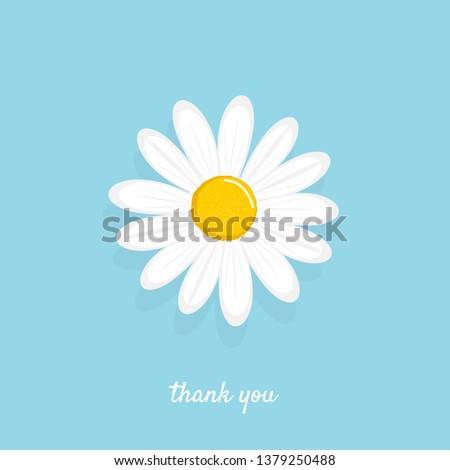 White daisy vector illustration. Cute flower plant isolated on a blue background.