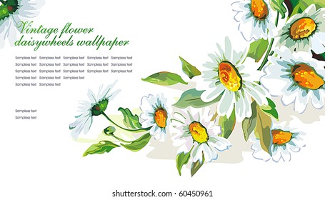 White daisywheels on isolated background. Floral vintage wallpaper.