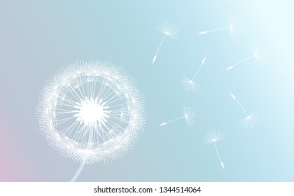 White dandelion blown by wind on pastel gradient background. Vector illustration.