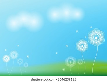 White dandelion flower on meadow background.