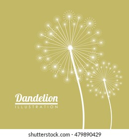 White dandelion icon. Summer seed plant and flower theme. Colorful design. Pastel background. Vector illustration