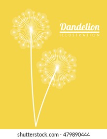 White dandelion icon. Summer seed plant and flower theme. Colorful design. Yellow background. Vector illustration