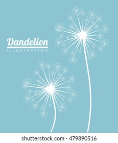 White dandelion icon. Summer seed plant and flower theme. Colorful design. Blue background. Vector illustration