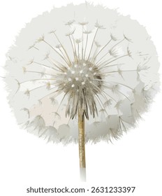 White Dandelion Isolated Flower Realistic Watercolor Botanical Vector Illustration