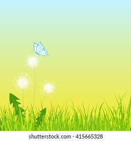 White dandelion on grass with butterfly