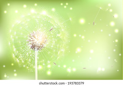 White Dandelion on green background - vector Illustration.