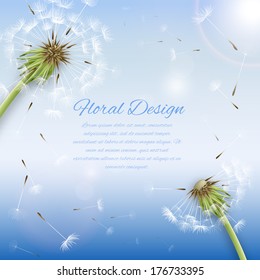 White dandelion with pollens background or cover template vector illustration