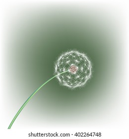 white dandelion seeds, nature, vector