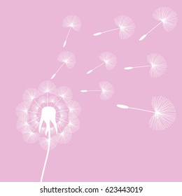 white dandelion seeds wind summer flying fluffy illustration on a pink background vector.