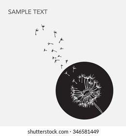 White dandelion vector on black background. Seeds blowing in the wind. Artistic sharp, clear vector illustration.