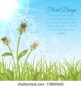 White dandelions on green grass with summer sun background vector illustration