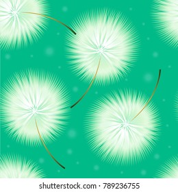White dandelions. Seamless floral pattern on a spring-summer green background.