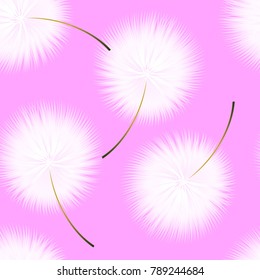White dandelions. Seamless floral pattern on a spring-summer pink background.