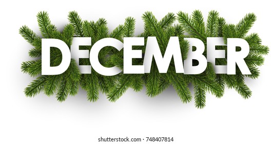 White december banner with green fir branches. Vector illustration.