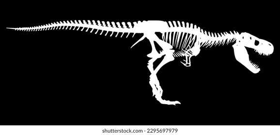 white dinosaur skeleton on black background