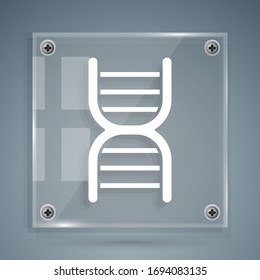 White DNA symbol icon isolated on grey background. Square glass panels. Vector Illustration