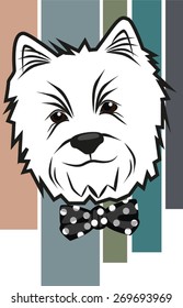 white dog
