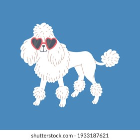 White dog breed french poodle in sunglasses shape of heart. Cute purebred pet, family domestic animal. Vector flat cartoon illustration for greeting holiday cards.