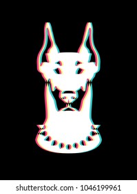 White dog Doberman with a stereo effect on a black background