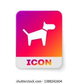 White Dog icon isolated on white background. Rectangle color button. Vector Illustration