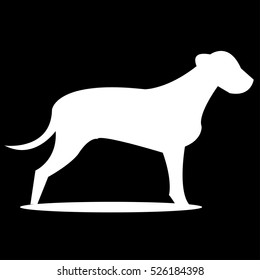 white dog icon - vector illustrator
