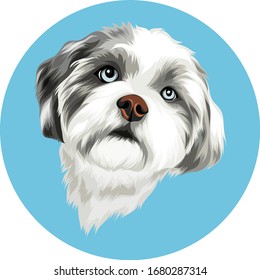 white dog with long fur vector cartoon perfect for pet lover or pet business