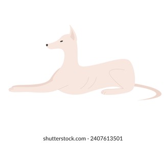 White dog in lying down pose. Domestic family pet, canine breed, white puppy dog cartoon vector illustration