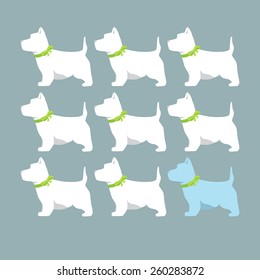 white dog on a dark background