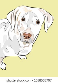 White dog on a light yellow background. Vector illustration.
