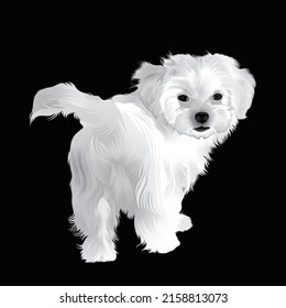 White Dog Vector Design With Black Background