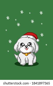 A white dog wearing christmas hat on green background