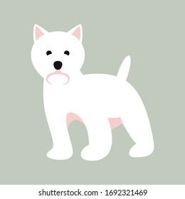 white doggy, vector illustration, flat style, front side