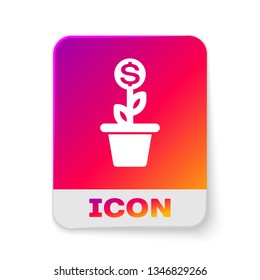 White Dollar plant in the pot icon isolated on white background. Business investment growth concept. Money savings and investment. Rectangle color button. Vector Illustration
