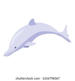 White dolphin icon. Isometric of white dolphin vector icon for web design isolated on white background