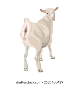 White domestic goat looking back. Rear view. Farm animal. Vector illustration isolated on a white background in a realistic style