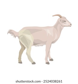 White domestic goat side view. Farm animal. Vector illustration isolated on a white background in a realistic style